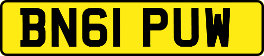 BN61PUW