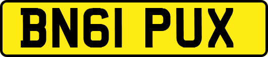 BN61PUX