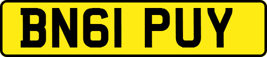 BN61PUY