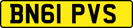 BN61PVS