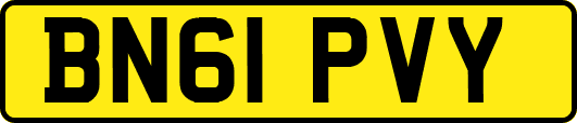 BN61PVY