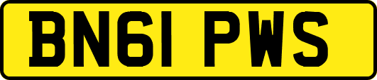 BN61PWS