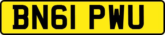BN61PWU