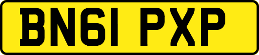 BN61PXP