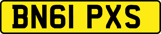BN61PXS