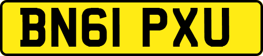 BN61PXU