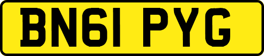 BN61PYG