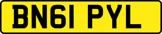 BN61PYL