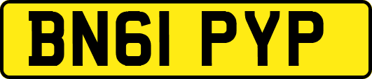 BN61PYP