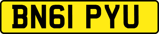 BN61PYU