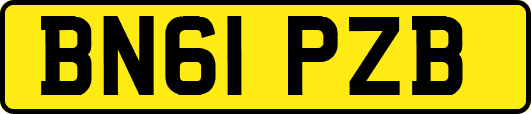 BN61PZB