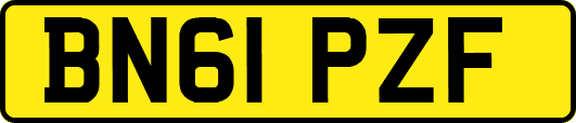 BN61PZF