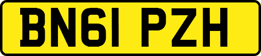 BN61PZH