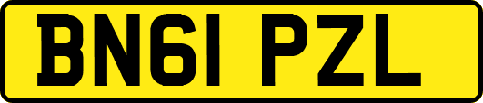 BN61PZL