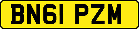 BN61PZM