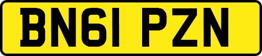 BN61PZN