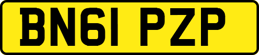 BN61PZP