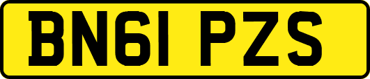 BN61PZS