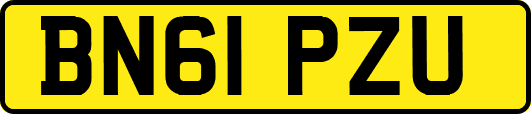 BN61PZU