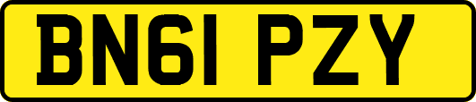 BN61PZY