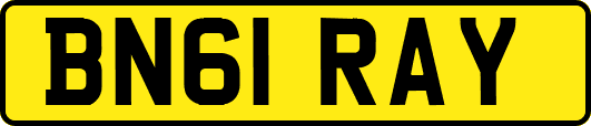 BN61RAY