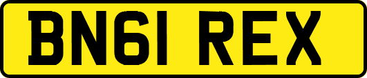 BN61REX