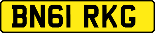 BN61RKG