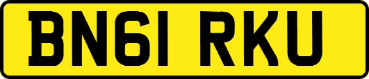 BN61RKU