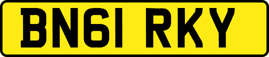 BN61RKY