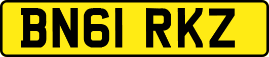 BN61RKZ