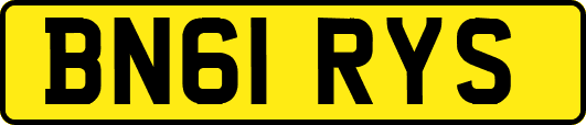 BN61RYS