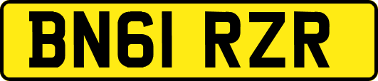 BN61RZR