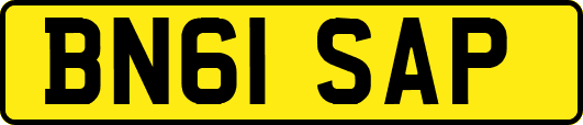 BN61SAP