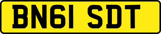 BN61SDT