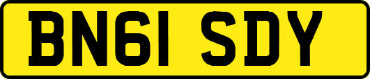 BN61SDY