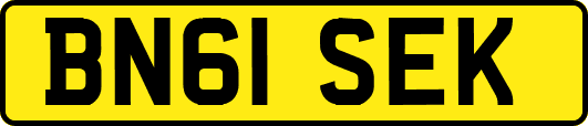 BN61SEK