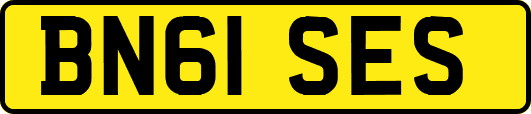 BN61SES