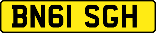 BN61SGH