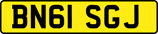 BN61SGJ