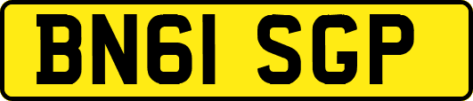 BN61SGP