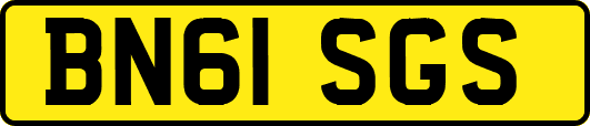 BN61SGS