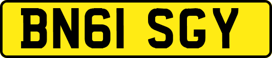 BN61SGY