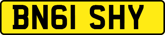 BN61SHY