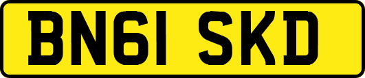 BN61SKD