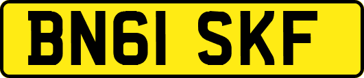 BN61SKF