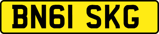 BN61SKG