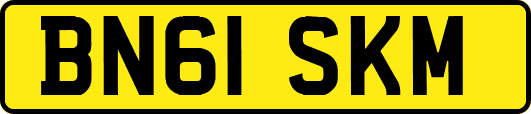 BN61SKM