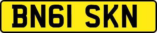 BN61SKN