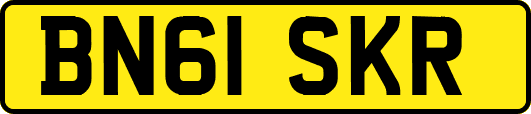 BN61SKR