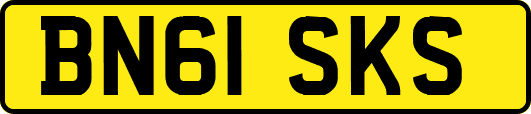 BN61SKS
